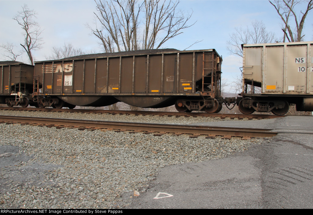 NS 10251